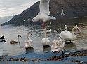 CIMG5229 (2)